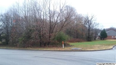 View from front west corner of lot.