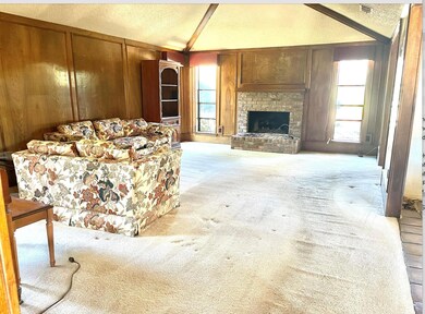 Carpeted living room featuring lofted ceiling, a t