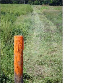 South Property Line