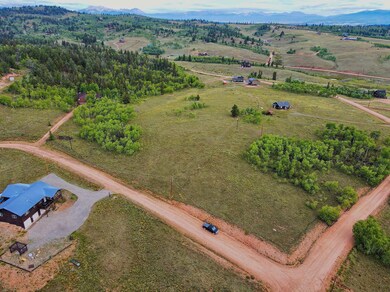 1087 Kite Ct, Como, CO 80456 - photo 5