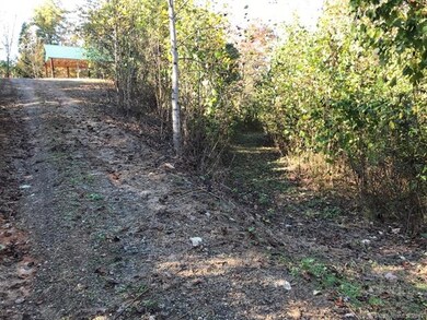 2915 Big Level Rd unit 1, Mill Spring, NC 28756 - photo 4