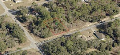 8351 N Creek Way, Citrus Springs, FL 34434 - photo 3