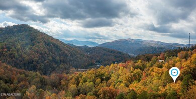 homesandvideos aerials-13349m