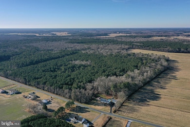 0 Bent Pine Rd unit MDWC2020984, Willards, MD 21874 - photo 7