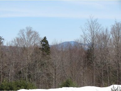 00 Bixby Rd, Ludlow, VT 05149 - photo 5
