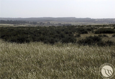 0 Nhn Lindstrom Rd, Shepherd, MT 59079 - photo 7