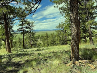 View of local wilderness