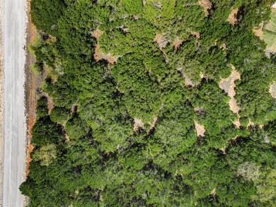 12103 Oak Dale Dr, Whitney, TX 76692 - photo 4