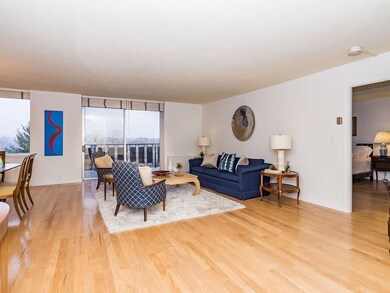 Imperial Towers unit 712, Chestnut Hill, MA 02467 - photo 2