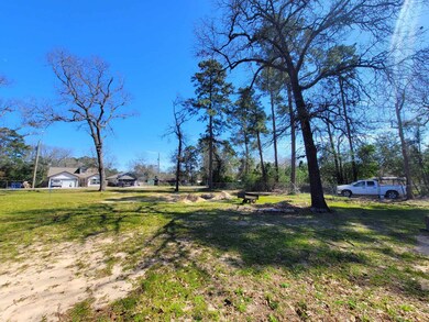 POV: Standing at the back right Corner of Property