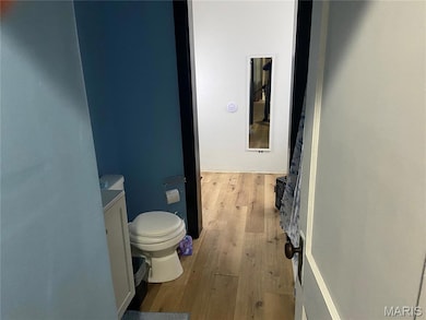 209 Spring St, Arcadia, MO 63621 - photo 5