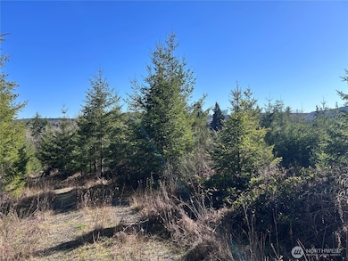 0 NKA Salmon Creek Rd, Toledo, WA 98591 - photo 6