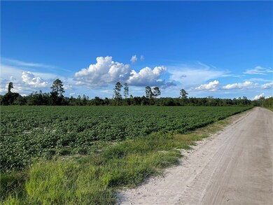 0 Blackshear Hwy unit 1636195, Surrency, GA 31563 - photo 7