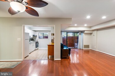 101 Skyhill Rd unit 102, Alexandria, VA 22314 - photo 7