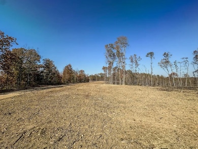 0 Firetower Rd unit 5, Centerville, TN 37033 - photo 4