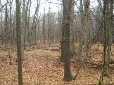 6.41 acres of HIGH AND DRY buildable land. Bring y