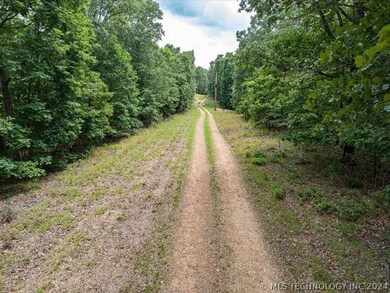 6375 Red Corn Ridge Rd, Proctor, OK 74457 - photo 6