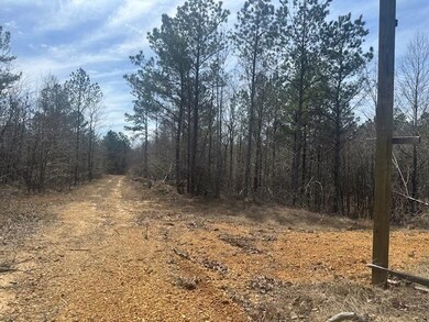 0 Fisher Ln, Shiloh, TN 38376 - photo 4