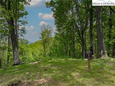 EC1 Eagle Crest Trail, Elk Park, NC 28604 - photo 2