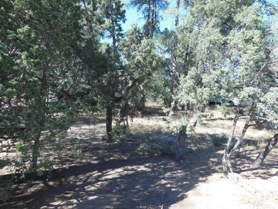 1008 N Chalet Cir, Payson, AZ 85541 - photo 2