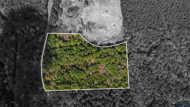 TBD Cr 162, Kilgore, TX 75662 - photo 4