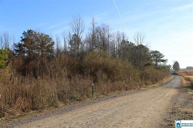 This picture shows the road going to the property.