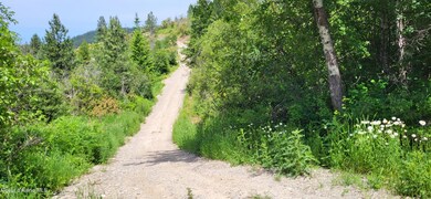 NNA E Van Dusen Rd, Harrison, ID 83833 - photo 4