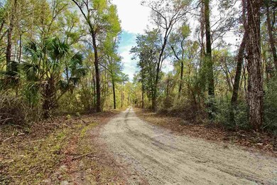 0 San Peoro Dr unit 315966, Crawfordville, FL 32327 - photo 5