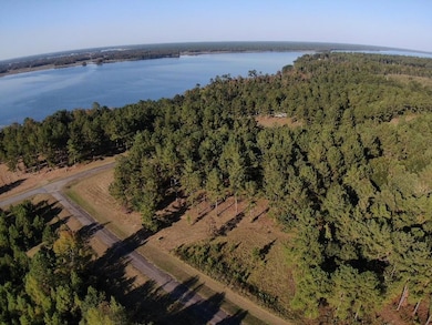 Lot 8 Mountain View Way, Bainbridge, GA 39819 - photo 4