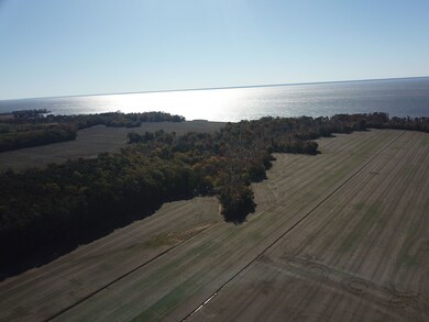 00 Muddy Creek Rd, New Hope, NC 27944 - photo 6