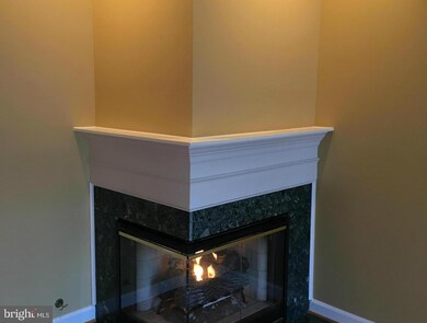 4314 Thomas Brigade Ln, Fairfax, VA 22033 - photo 4