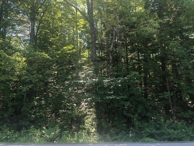 TM 56-1-31 Tupeck Ln, Tuftonboro, NH 03816 - photo 3