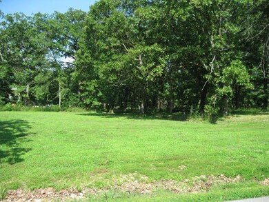 Lot 3 Breezy Point Ln, Ruth B Rural Township, MO 65686 - photo 5