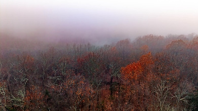 000 County Road 36, Gainesville, MO 65655 - photo 4