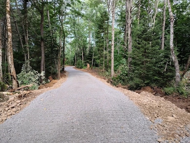 13331 Henry Rd unit Lot 3, Natural Bridge, NY 13665 - photo 7