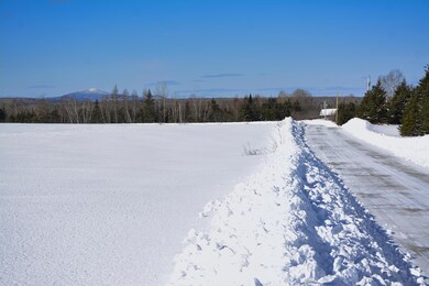_DSC0008