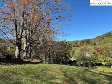 10 Orchard Ln, Banner Elk, NC 28604 - photo 5