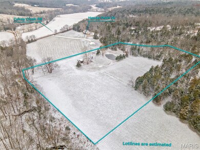 9916 Hawks Point Dr, Meramec Township, MO 63023 - photo 7