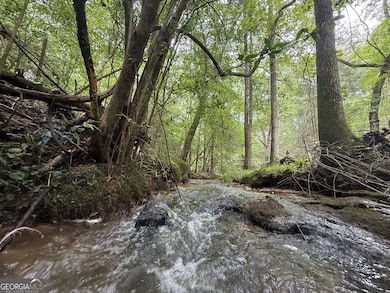 2004 Christian Rd, Dewy Rose, GA 30634 - photo 5