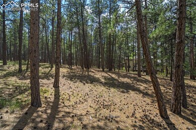 View of wooded area