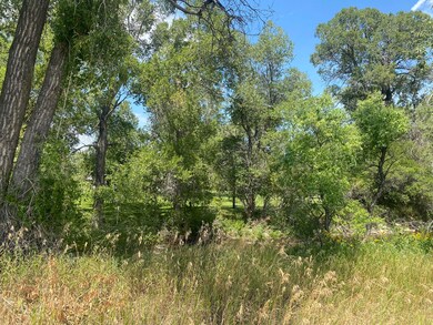 back and creek