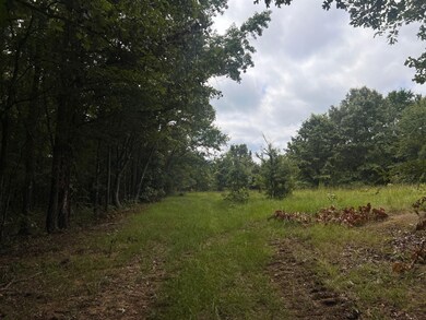 Rd, Watson, OK 74957 - photo 6