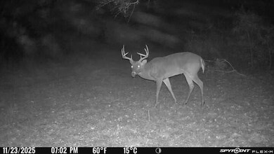 963 Vinson Rd, Meigs, GA 31765 - photo 4