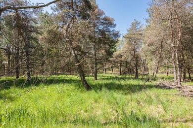 V/L Par 2 Algoma Ave NE, Cedar Springs, MI 49319 - photo 3