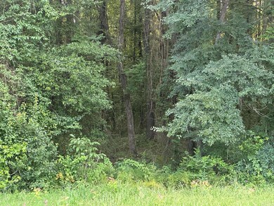 00 Hwy 367, McRae, AR 72012 - photo 5