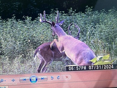 4260 Highfield Rd, Cedar Grove, TN 38321 - photo 7