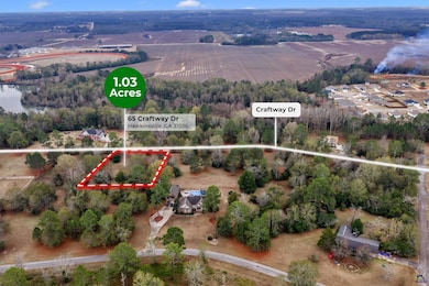 65 Craftway Dr, Hawkinsville, GA 31036 - photo 3