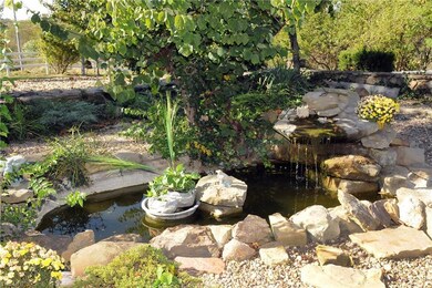 60621 morgan fish pond