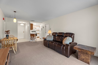 Non trip carpet throughout the unit.