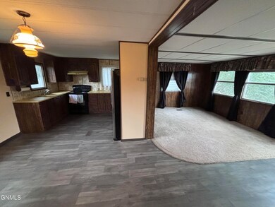 Kitchen-Living rm 1